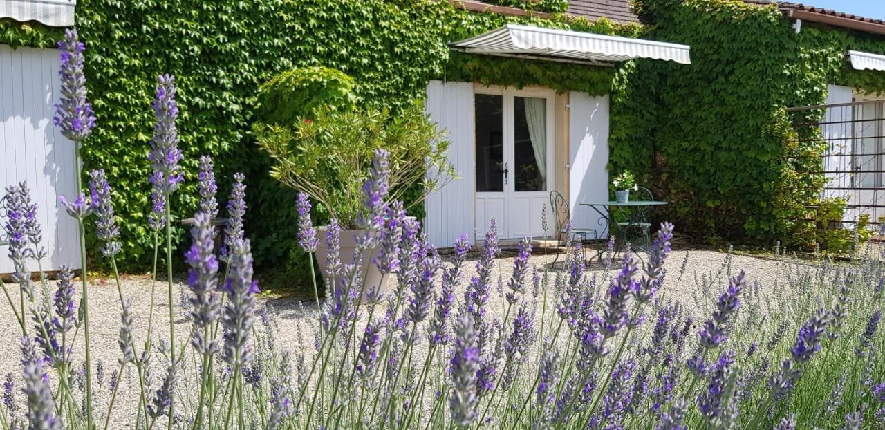 Le Clos-Lascazes Maison D'Hotes Le Buisson-de-Cadouin Ngoại thất bức ảnh